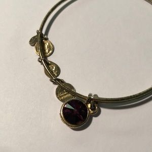 Alex and Ani Gold Purple Pendant Bangle